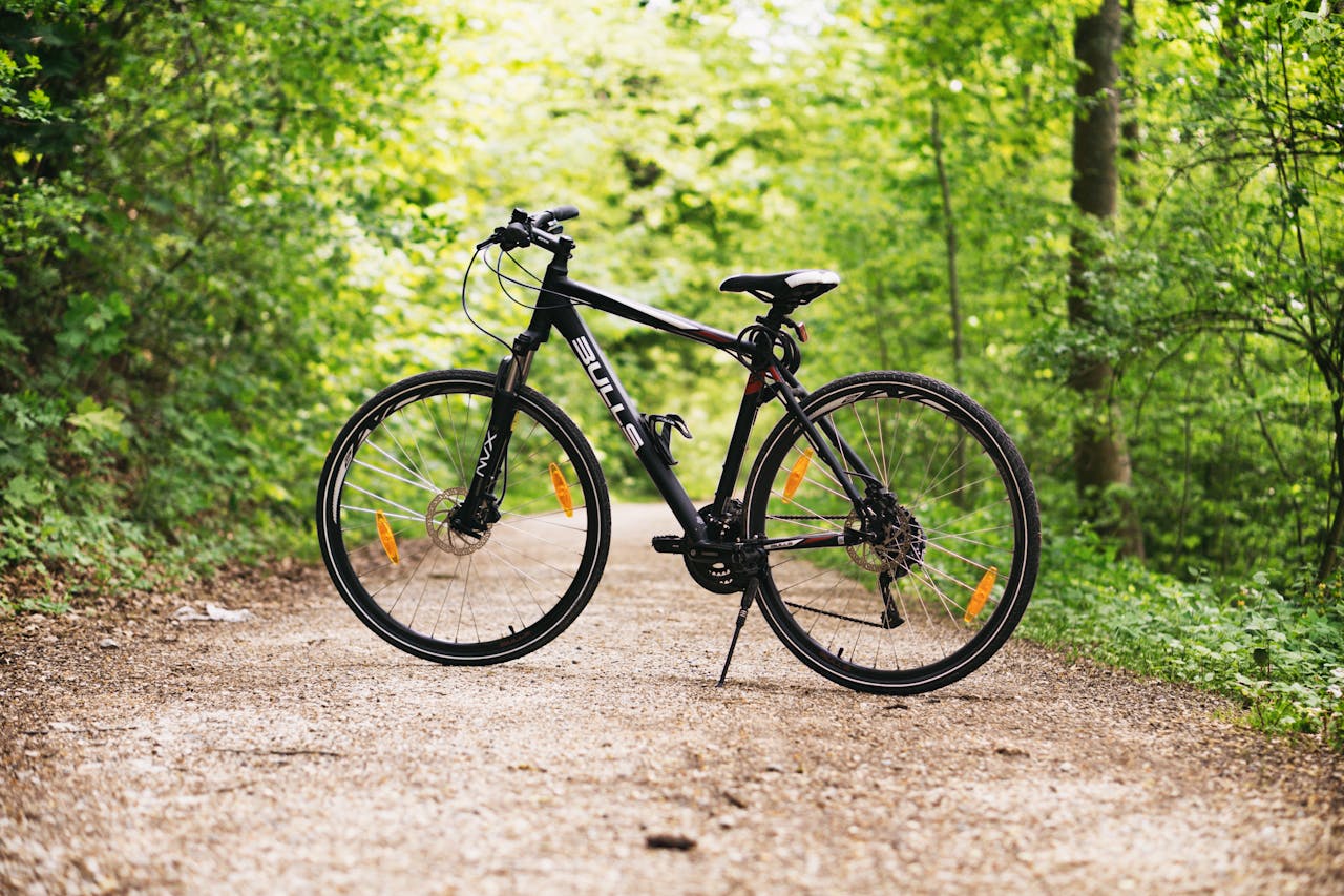 Bike A black bikes stands in the middle of a tree tunnel.