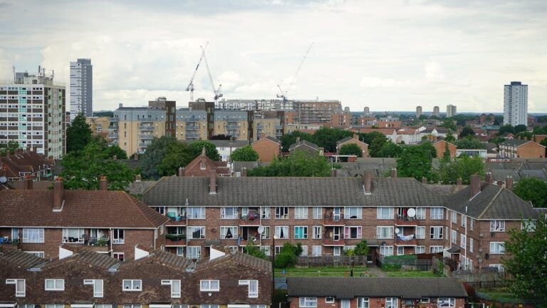 A London skyline with houses, cranes, and blocks of flats in sight.