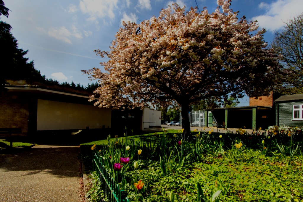 Ballroom, Latin and Sequence Dance