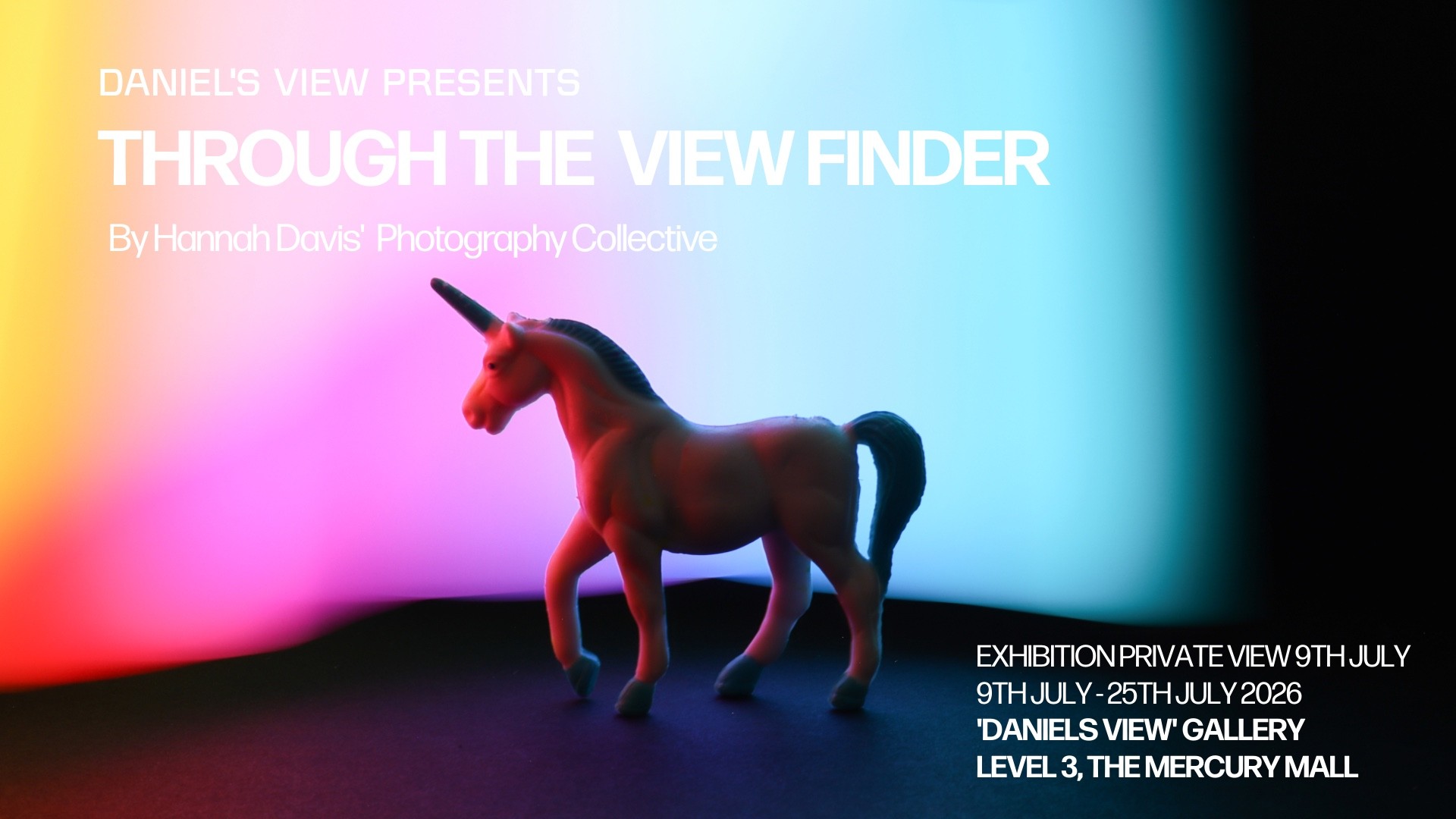 Through the View Finder Private View